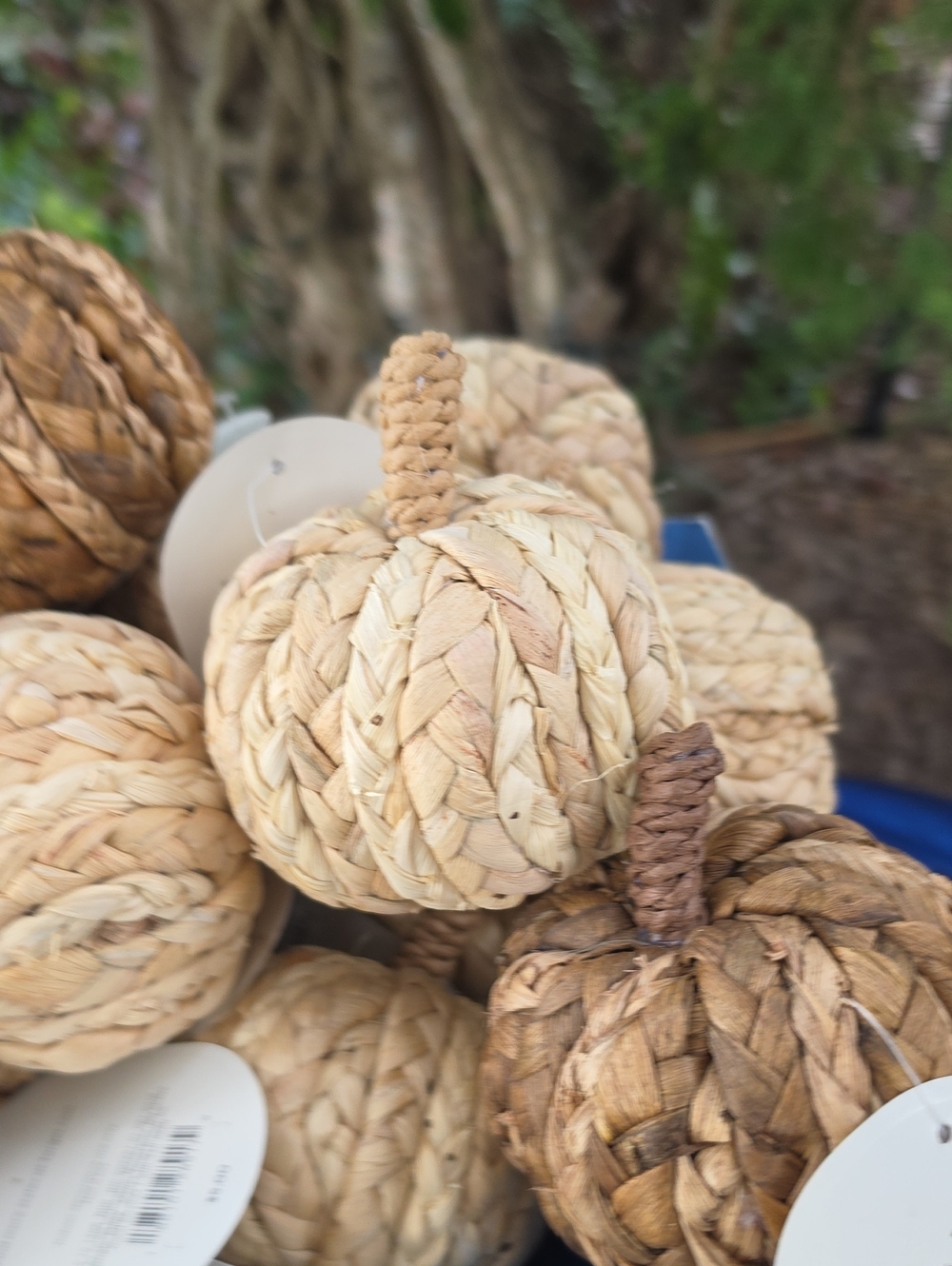 Threshold Woven Natural and Brown Decorative Pumpkins